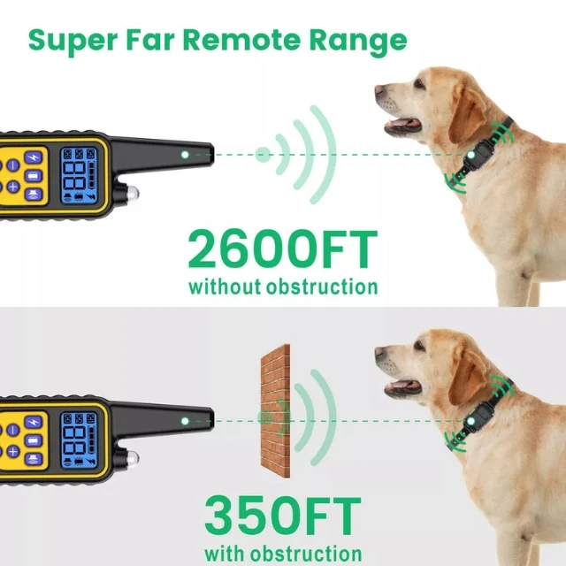 Rechargeable dog training collar receiver and remote control